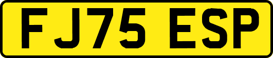 FJ75ESP