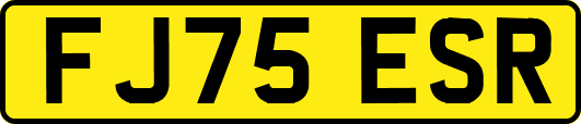 FJ75ESR