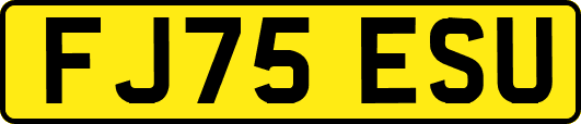 FJ75ESU