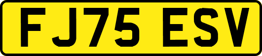 FJ75ESV