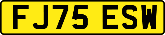 FJ75ESW