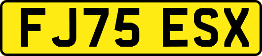 FJ75ESX
