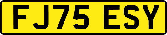 FJ75ESY