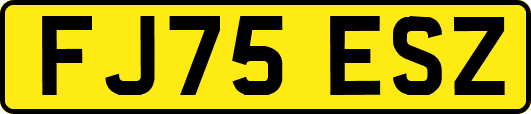 FJ75ESZ