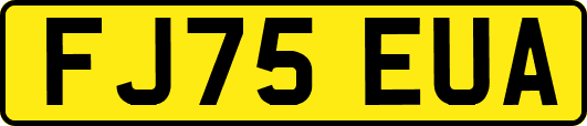 FJ75EUA