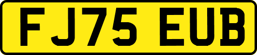 FJ75EUB