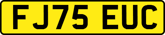 FJ75EUC