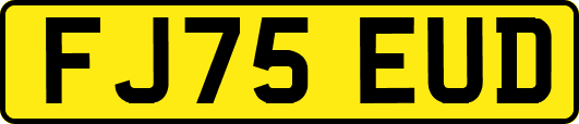 FJ75EUD
