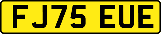 FJ75EUE