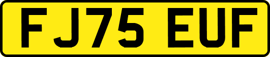 FJ75EUF