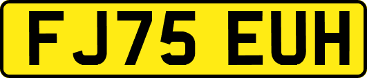 FJ75EUH