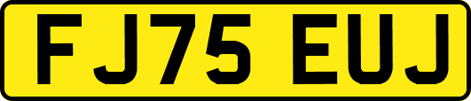 FJ75EUJ