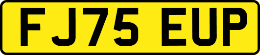 FJ75EUP