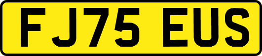 FJ75EUS