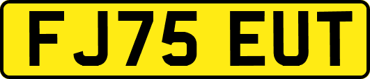 FJ75EUT