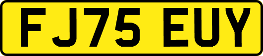 FJ75EUY