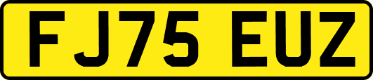 FJ75EUZ