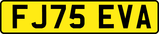FJ75EVA