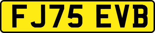 FJ75EVB