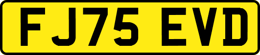 FJ75EVD