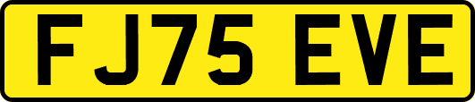 FJ75EVE