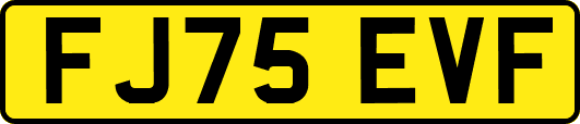FJ75EVF