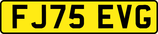 FJ75EVG