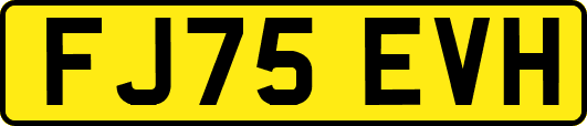 FJ75EVH