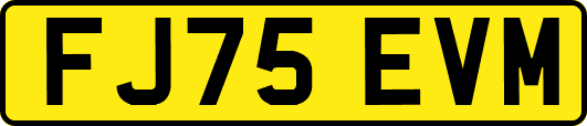 FJ75EVM