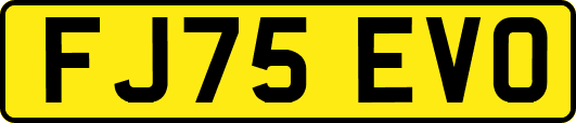 FJ75EVO