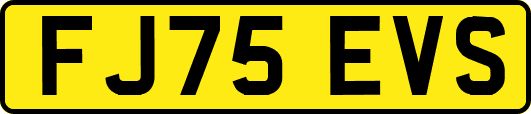 FJ75EVS