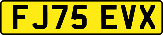 FJ75EVX