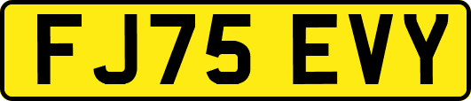 FJ75EVY