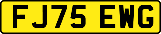 FJ75EWG