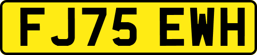 FJ75EWH