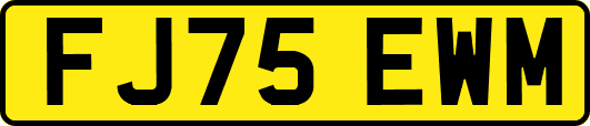 FJ75EWM