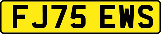 FJ75EWS
