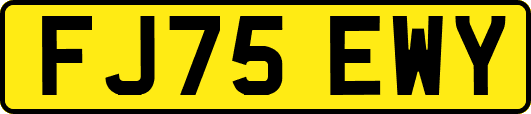 FJ75EWY