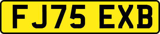 FJ75EXB
