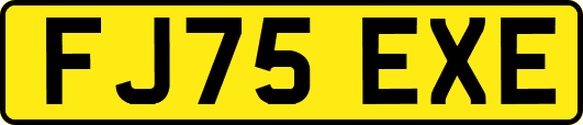 FJ75EXE