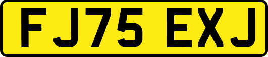 FJ75EXJ
