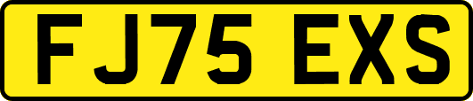 FJ75EXS