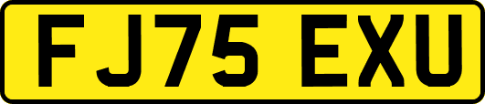 FJ75EXU