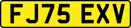 FJ75EXV