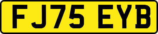 FJ75EYB