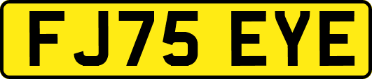FJ75EYE