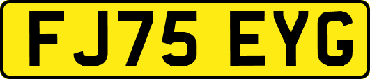 FJ75EYG