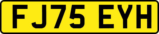FJ75EYH