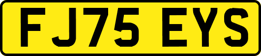 FJ75EYS