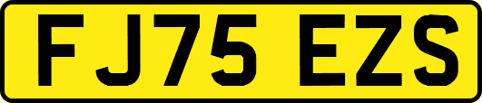 FJ75EZS